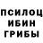 Псилоцибиновые грибы Magic Shrooms DM 111