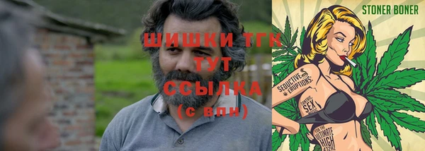 винт Алзамай