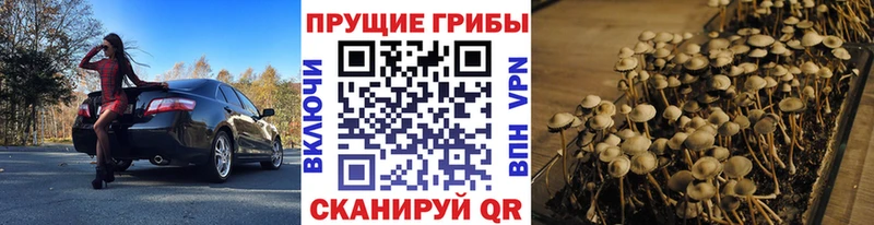 Галлюциногенные грибы мицелий Ярцево